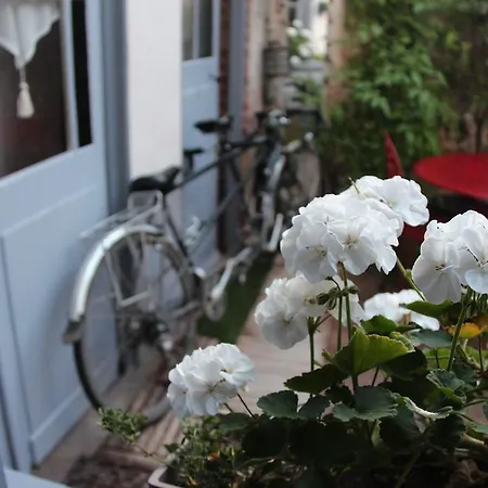 Les Capucines Bed & Breakfast *